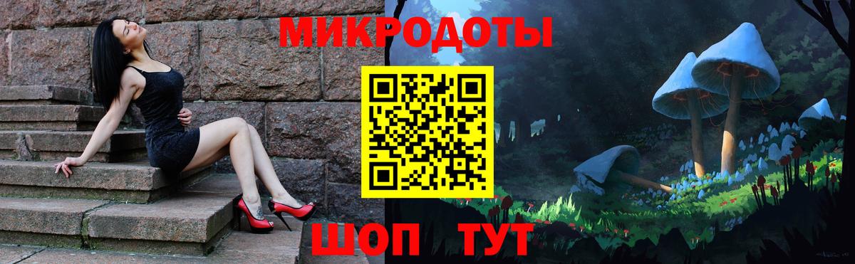 Галлюциногенные грибы Psilocybe Губкинский